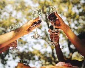 friends clinking glasses of red wine