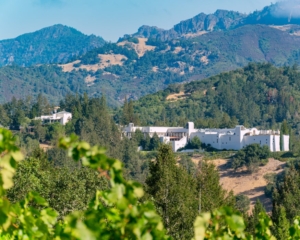 view of sterling vineyards california