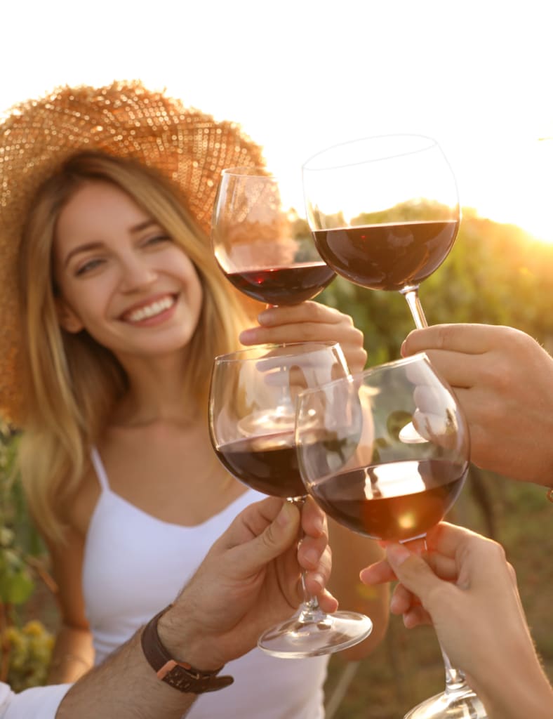 friends clinking glasses of red wine at vineyard