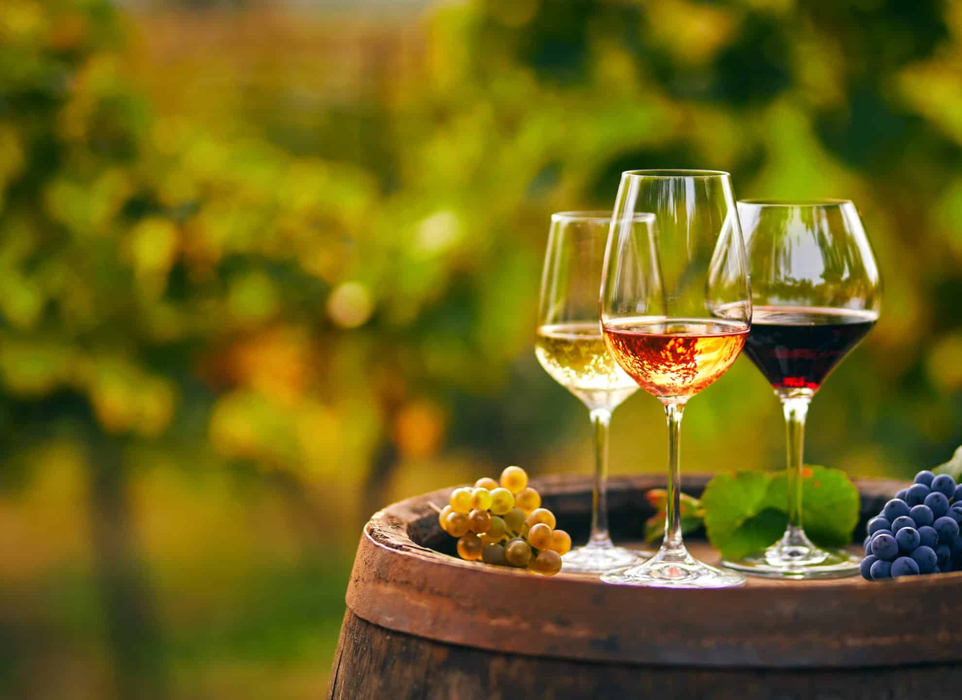 three glasses of wine: white, rose and red