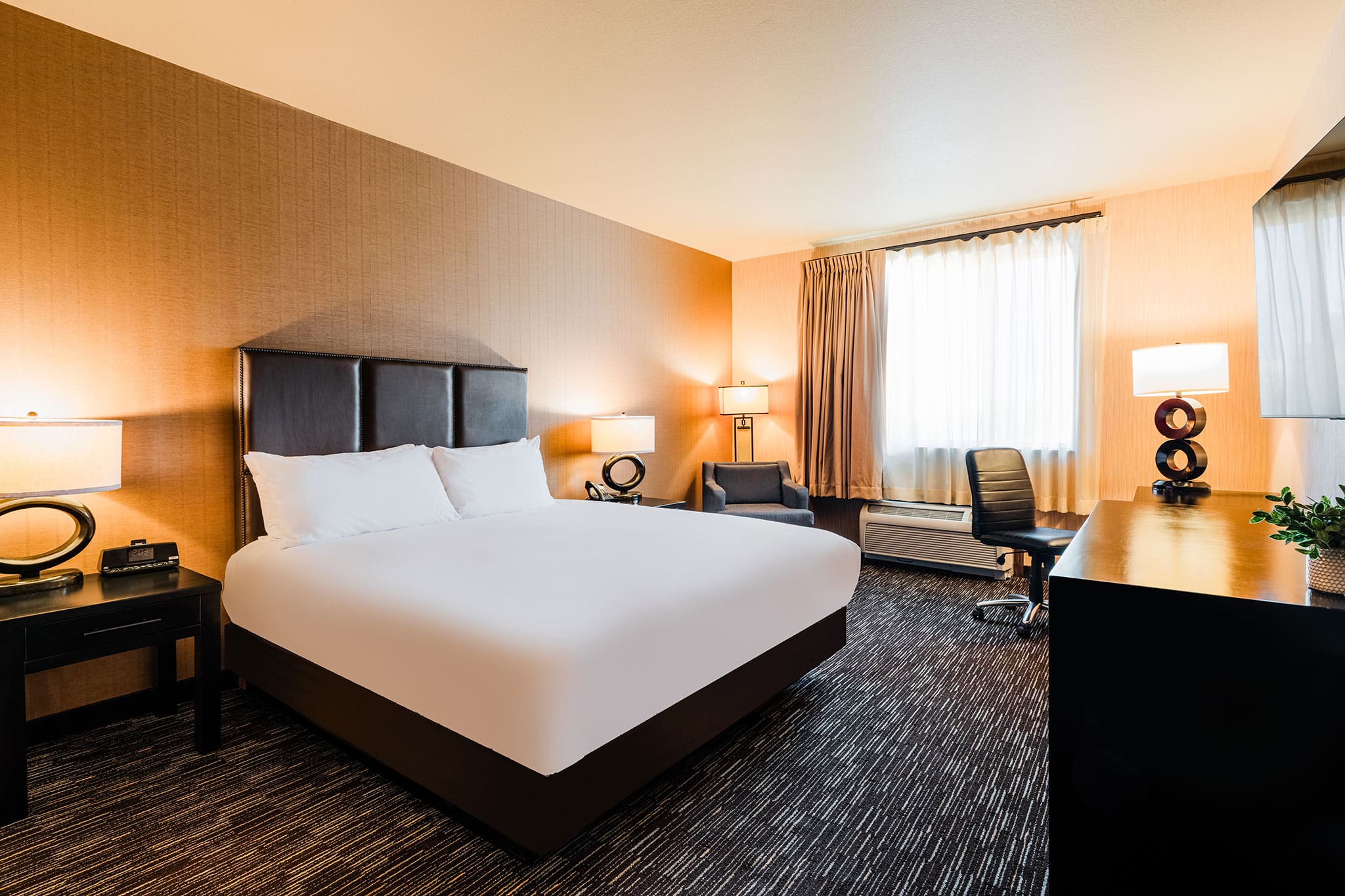 Photo of Single King Room