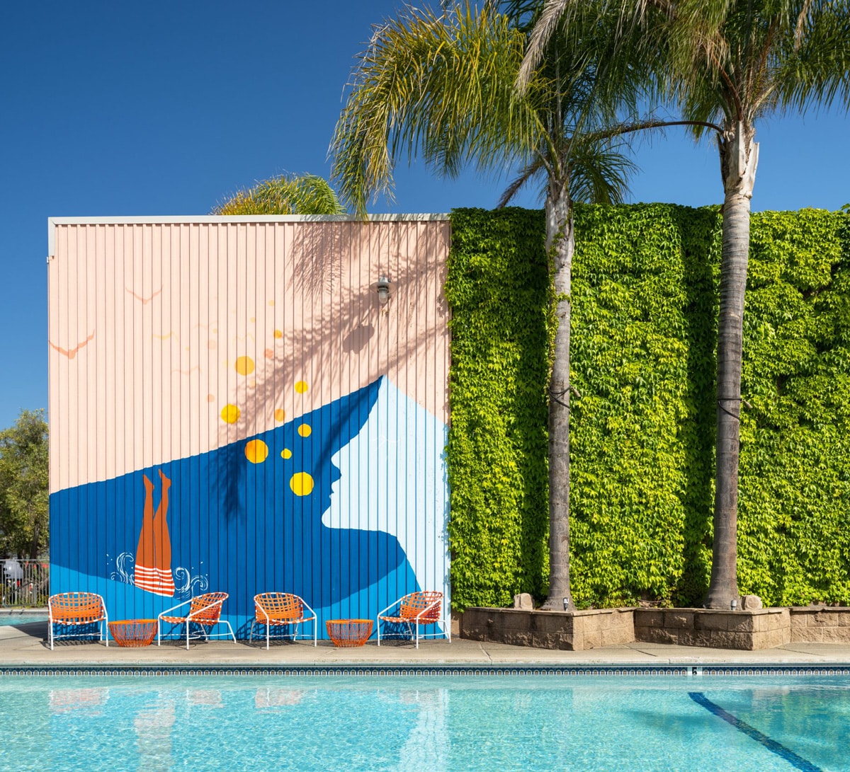 Pool at Dr Wilkinson’s